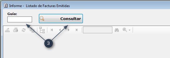 Archivo:ConsultaFactEmitidas 02.jpg