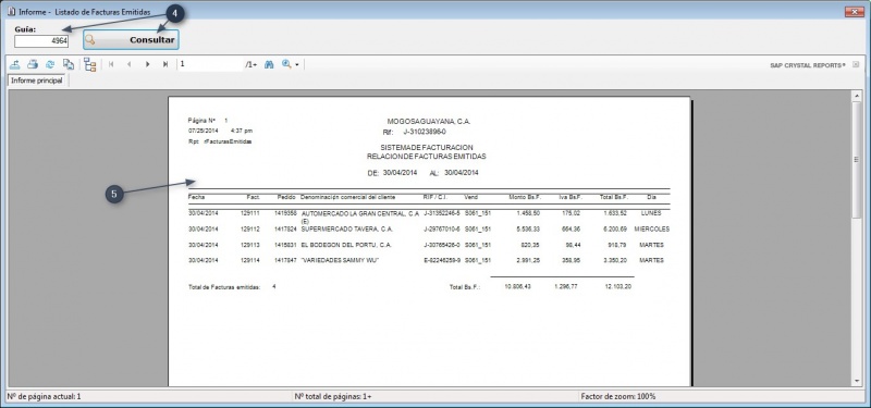 Archivo:ConsultaFactEmitidas 03.jpg